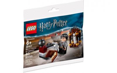 LEGO Harry Potter Путешествие Гарри в Хогвартс (30407)