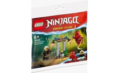 LEGO NINJAGO Битва Кая и Раптона за Храм (30650)