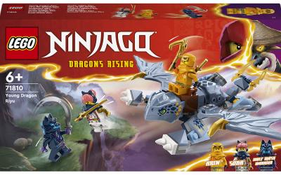 LEGO NINJAGO Молодий дракон Рію (71810)