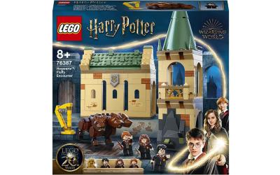 LEGO Harry Potter Хогвартс: встреча с Флаффи (76387)